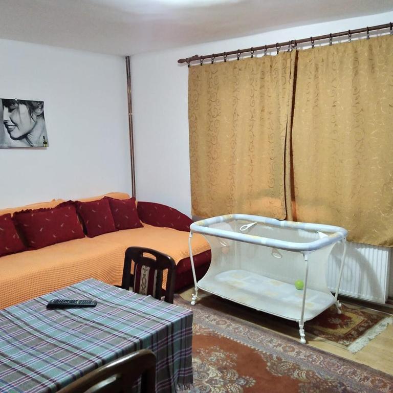Vila Lenka Sokobanja - Apartment - Ground Floor - 20