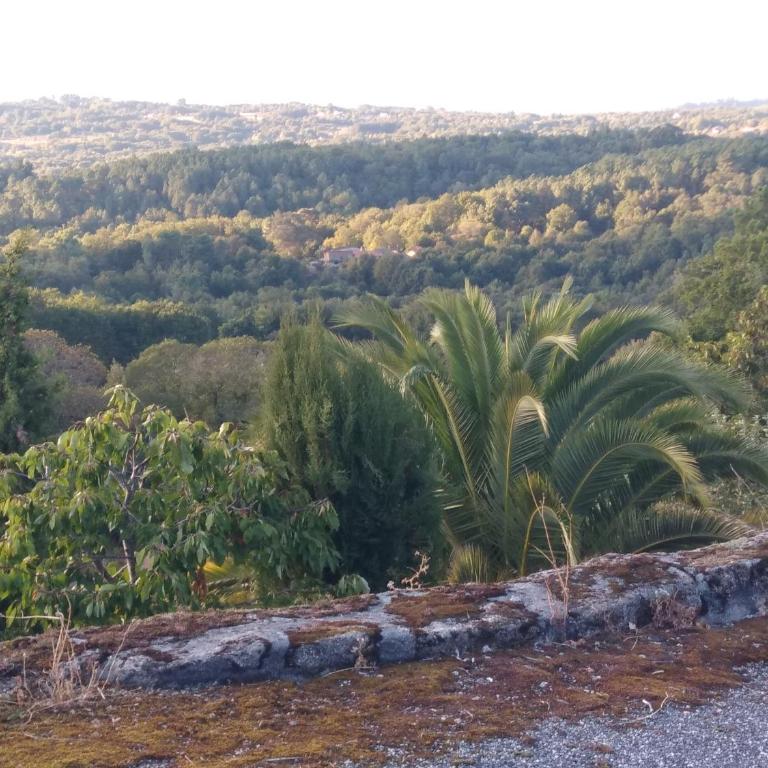 Casiña Rústica en las proximidades de la Ribeira Sacra - Casa con 1 dormitorio - 31