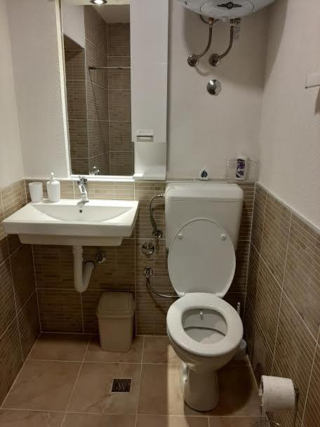 Guesthouse Hill - Dvokrevetna Soba sa Bračnim Krevetom/Zasebnim Krevetima i Terasom - 7
