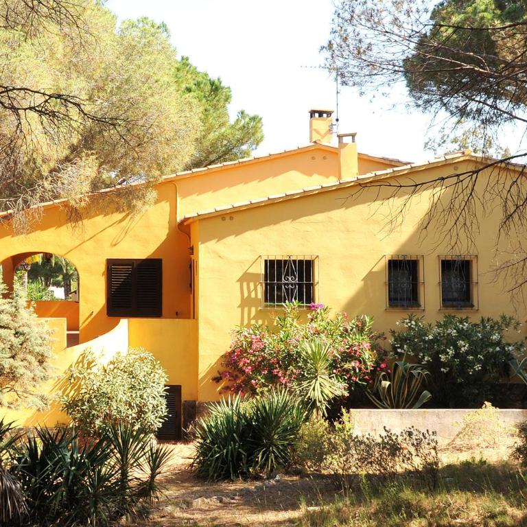 Pinedes - Villa con piscina privada - 14