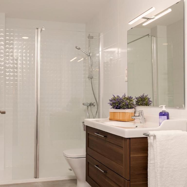 Domus Toledo - Apartamento de 3 dormitorios - 29