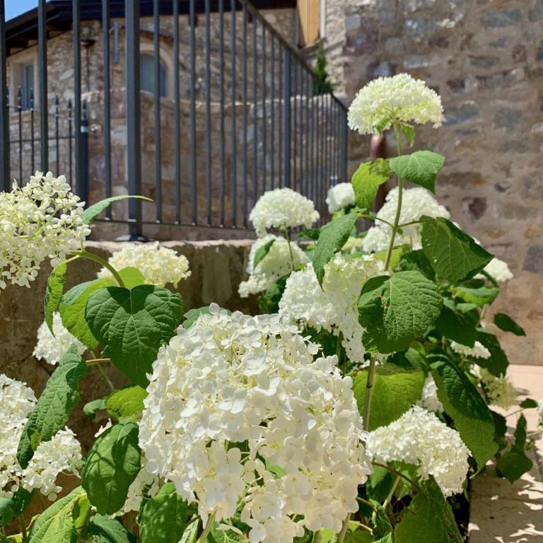 Borgo Al Tempo Perduto - Villa con 3 Camere da Letto - 27