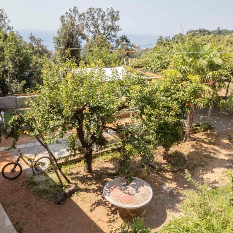 La BRIGNA B&B Il bosco sul mare - Camera Matrimoniale con Bagno Privato - 3