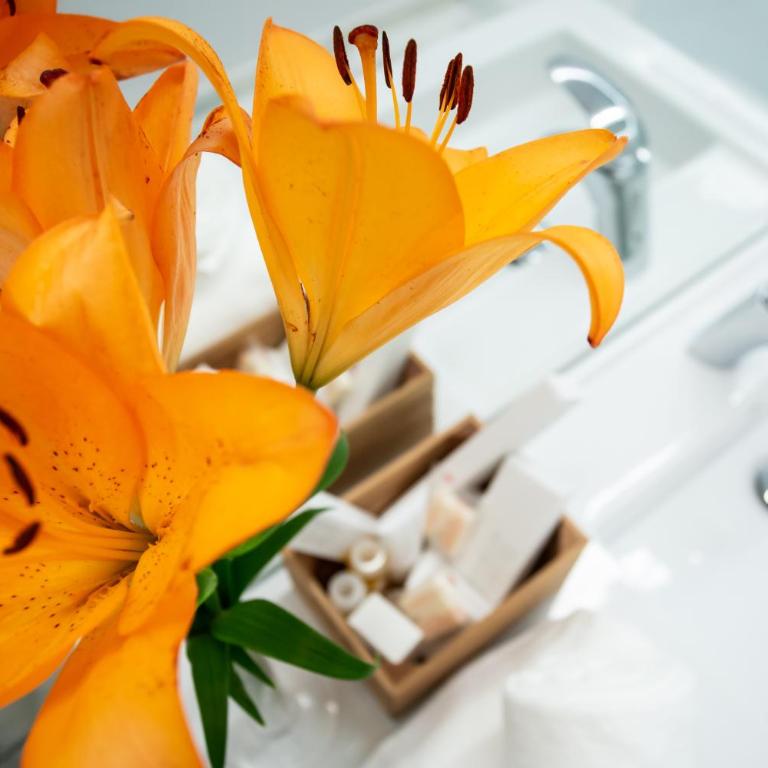 Plazuela del Carbón Suites - Estudio Deluxe - 16