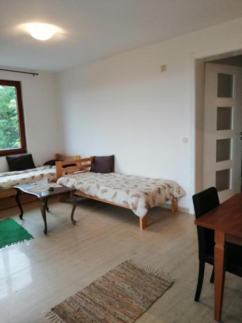 Vila Akademik A2 - Apartman sa Pogledom na Planinu - 4