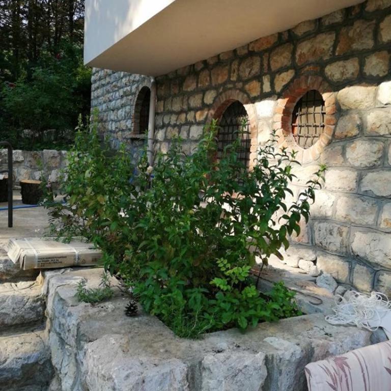 Vila Akademik A2 - Apartman sa Pogledom na Planinu - 11