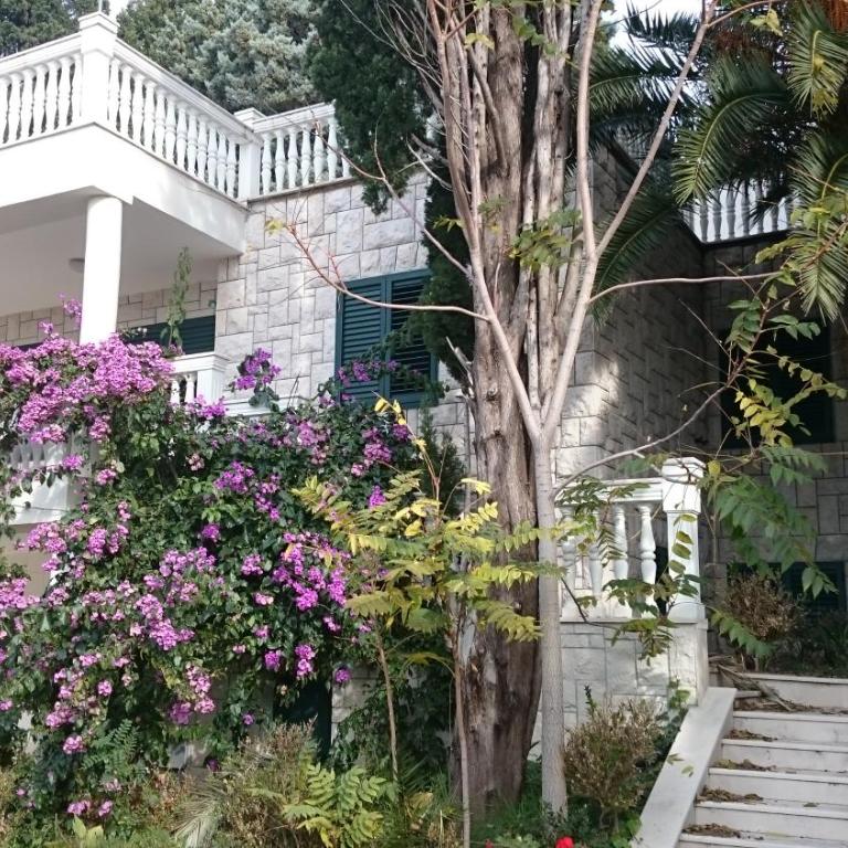 BG Villa Apartment XL - Apartman sa 2 Spavaće Sobe - 1