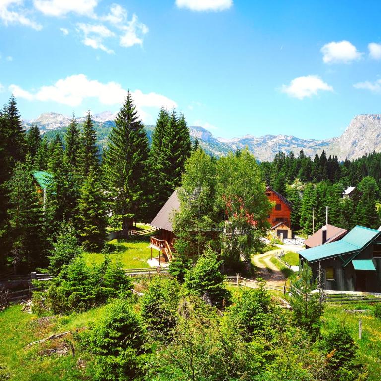 Apartment Durmitor - Apartment - Ground Floor - 22