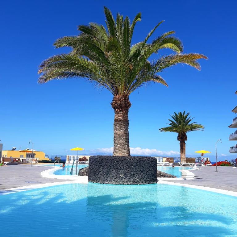 Luxury Tagara Beach - Apartamento - 1