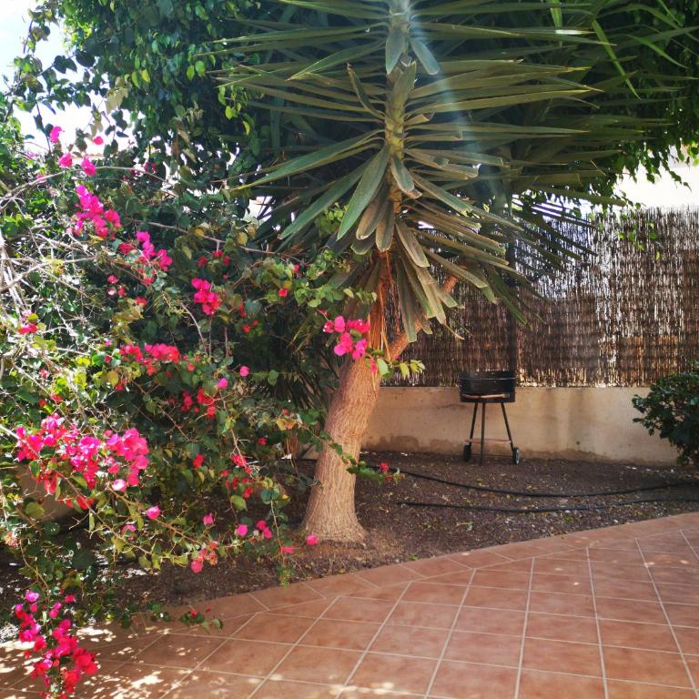 Casa Silencio, Villa with terrace, garden and large pool area - Casa de 2 dormitorios - 25