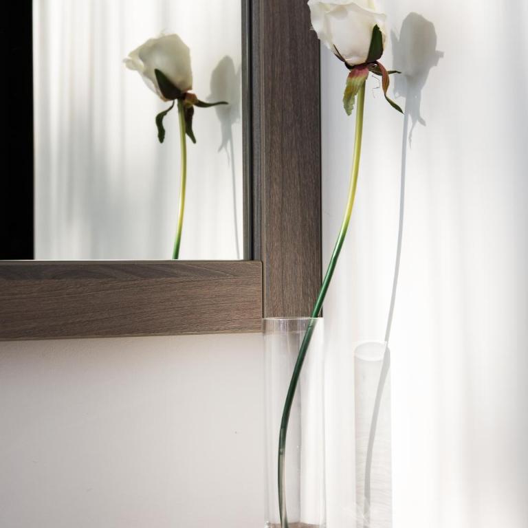 Omia - Deluks Dvokrevetna Soba sa Zasebnim Krevetima - 2