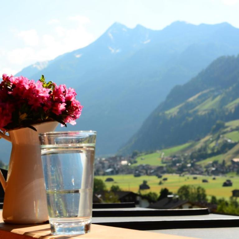 Fleckhof - Doppelzimmer mit Schlafsofa und Balkon - 4