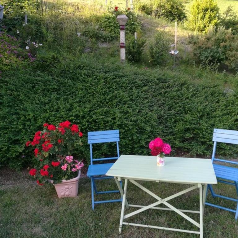 Biobergbauernhof Bergzeit Apartment in Goldegg - Apartment mit Blick auf die Berge - 16
