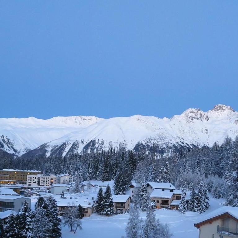 Ova Cotschna 705 - Apartment mit Blick auf die Berge - 5