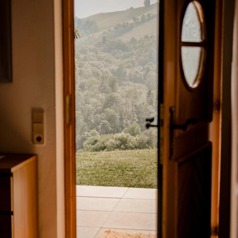 Hohler Appartement Gamlitz - Appartamento con 1 Camera da Letto - 21