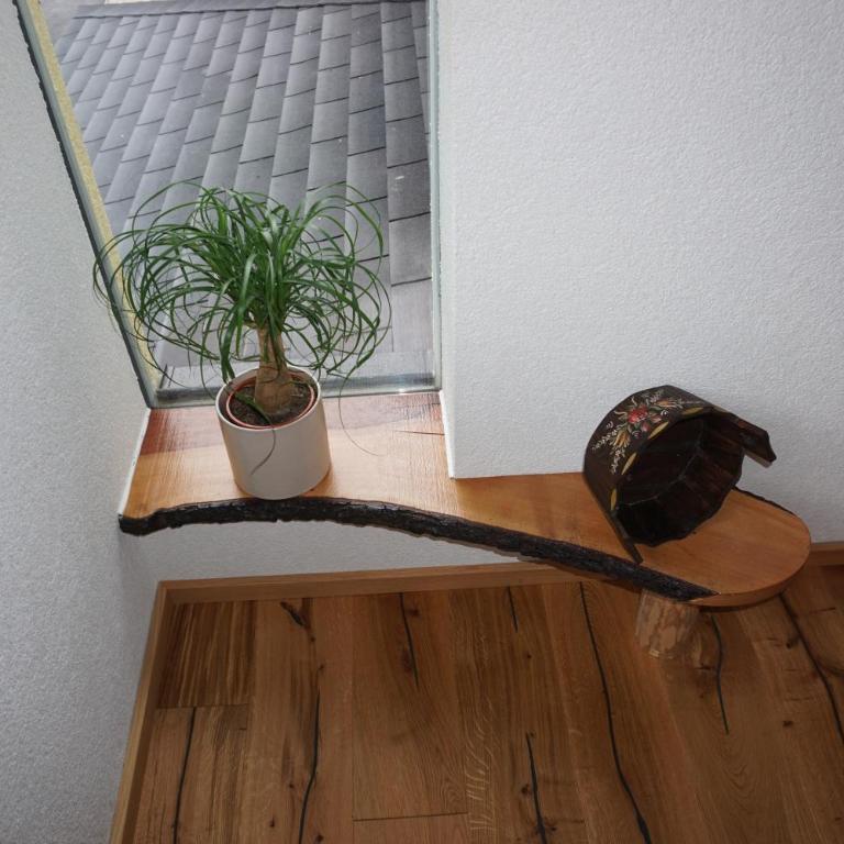 Schmiedsipplhof - Apartment mit Blick auf die Berge - 12