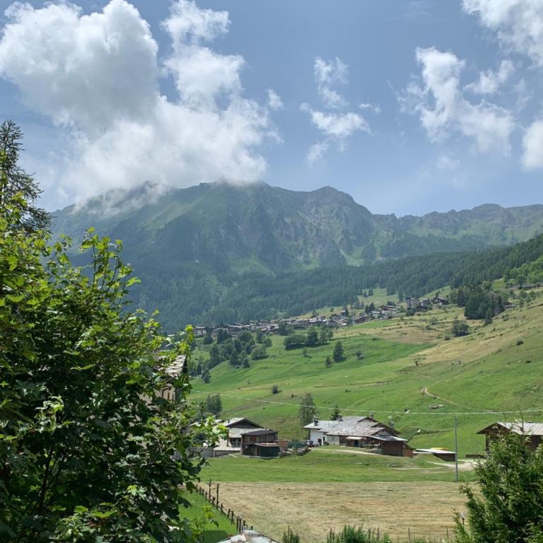 R.T.A. Hotel Monte Rosa - Apartment with Mountain View - 2