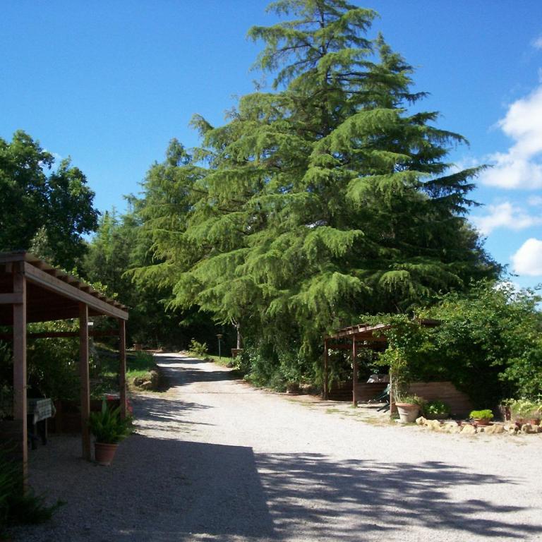 Podere Il Caggio Rooms - Three-Bedroom Apartment - 3