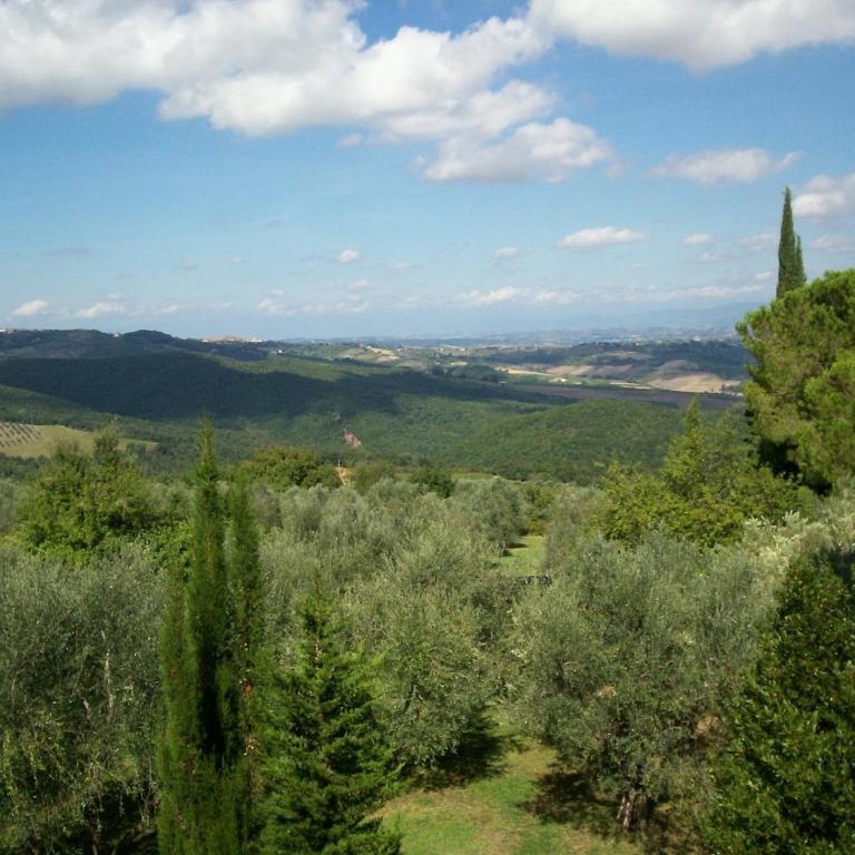 Podere Il Caggio Rooms - Triple Room - 25