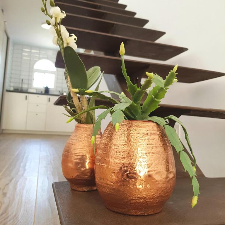 Lugar de la Luz - Apartamento de 1 dormitorio - 12