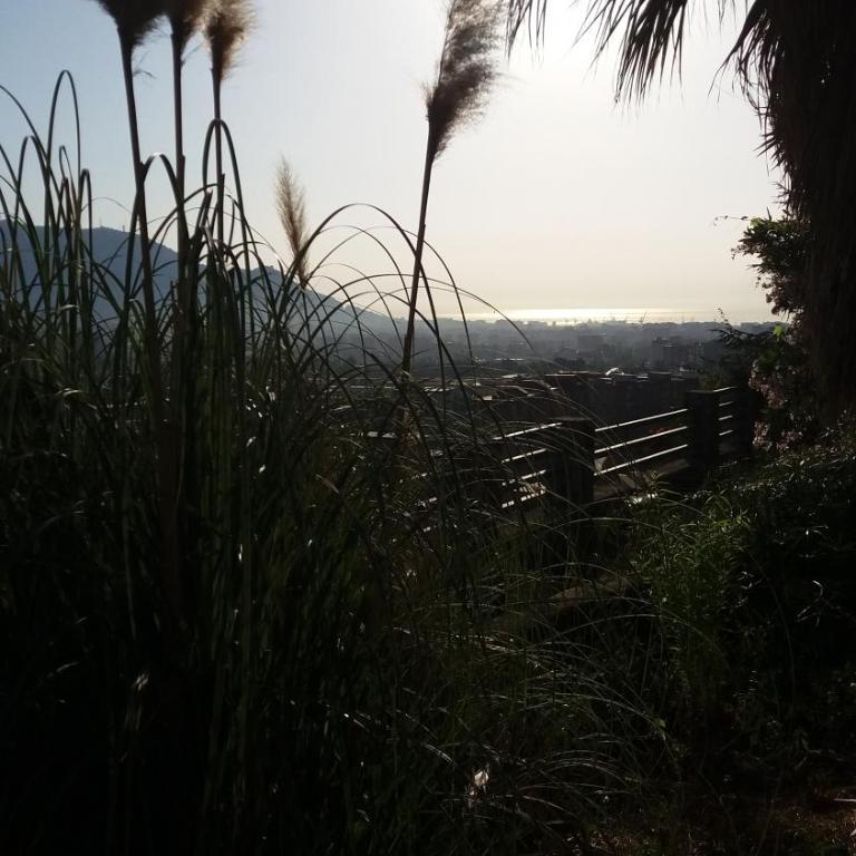Villa Giannì - Apartment with Garden View - 3