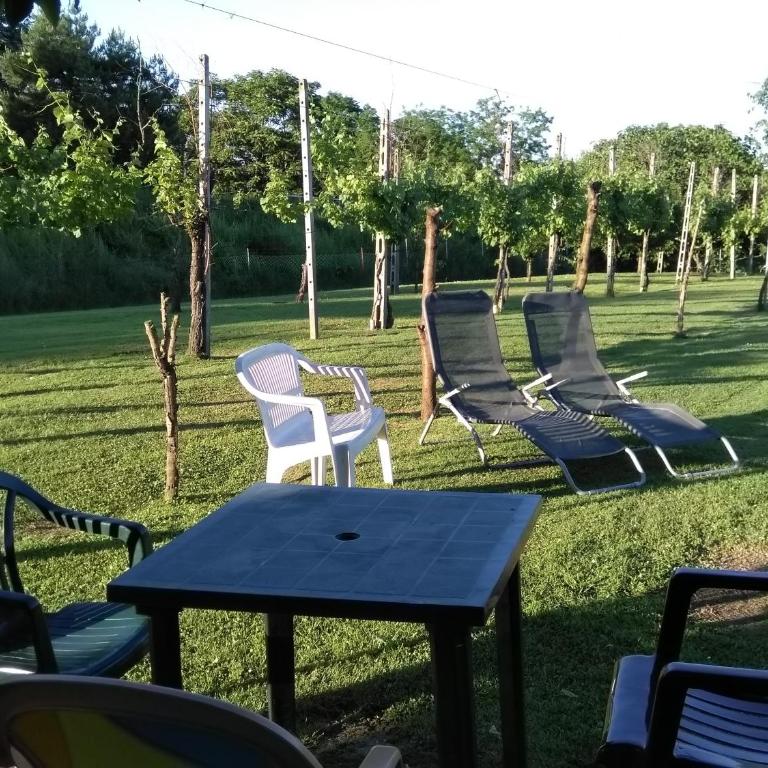 VILLA LILLI - Appartamento con 1 Camera da Letto - 11