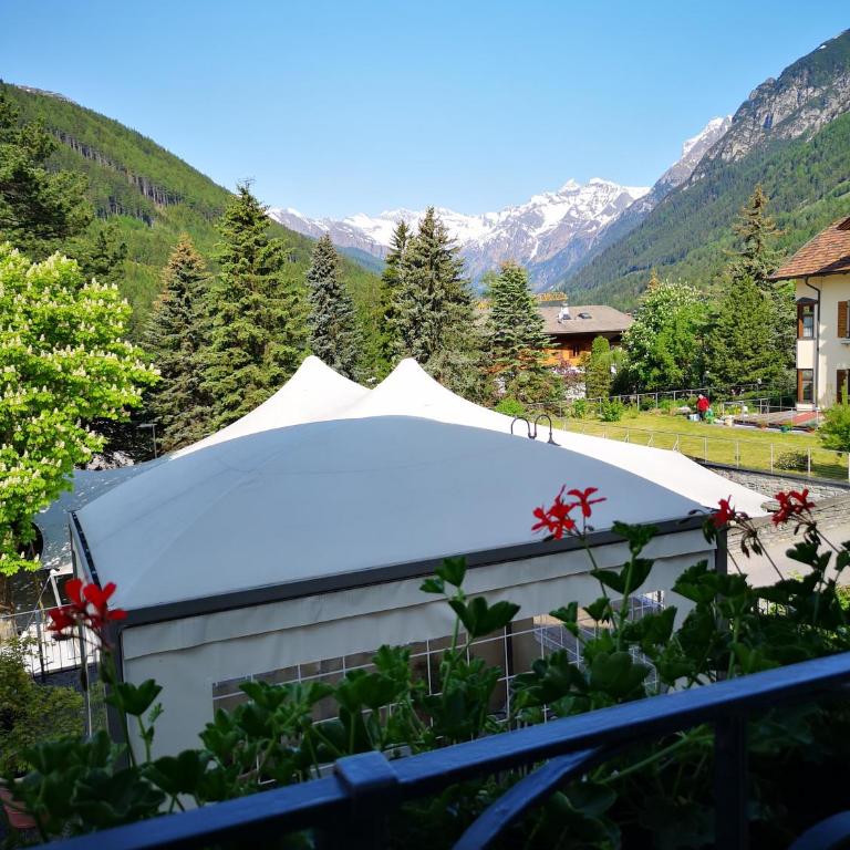 Hotel Schuster - Chambre Double Standard - 5