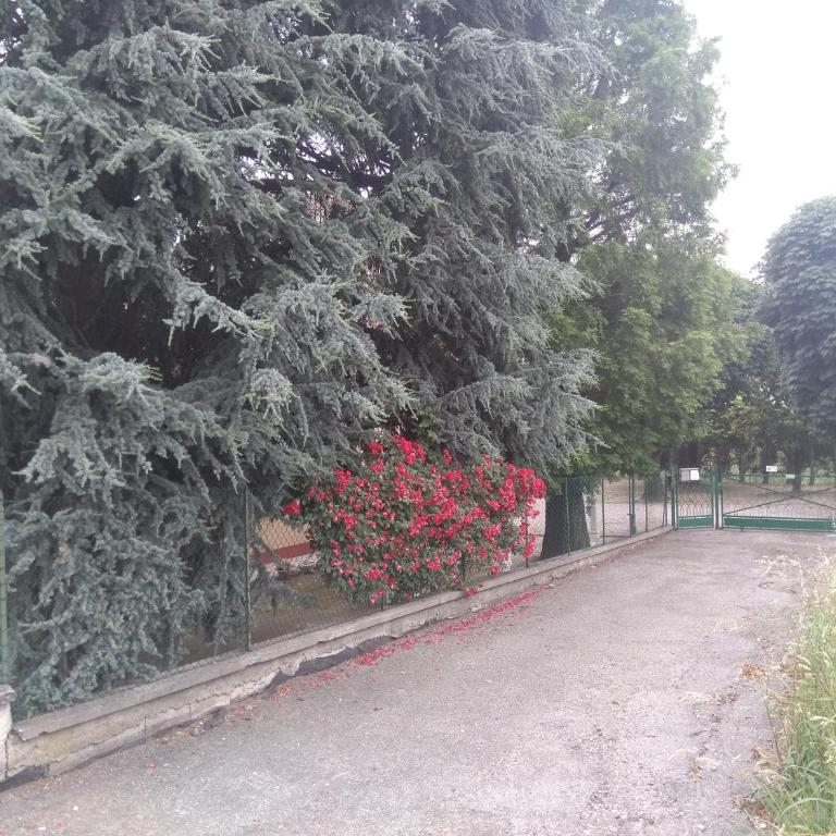 VILLA LILLI - Appartamento con 1 Camera da Letto - 15