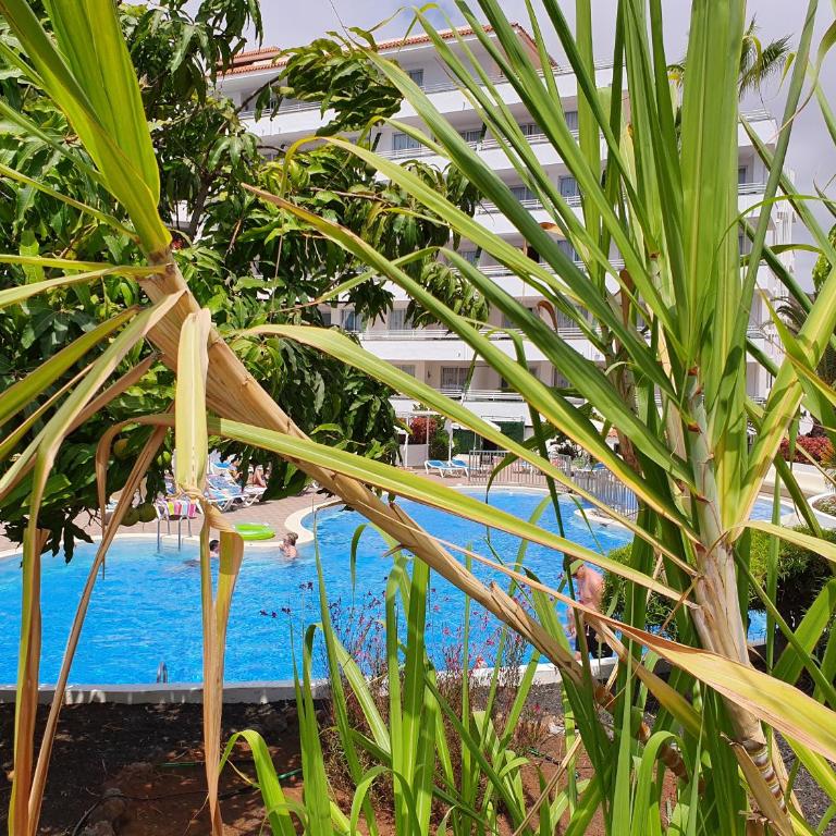 Spectacular Renovated Apartment, 5 min to Camison Beach, with AirCon - Apartamento de 1 dormitorio - 43