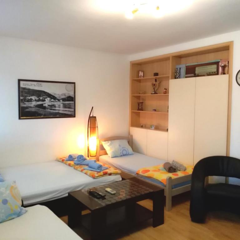 Apartmani Jovanovic - Komfor Studio s Terasom i Sopstvenim Spoljnim Kupatilom - 1