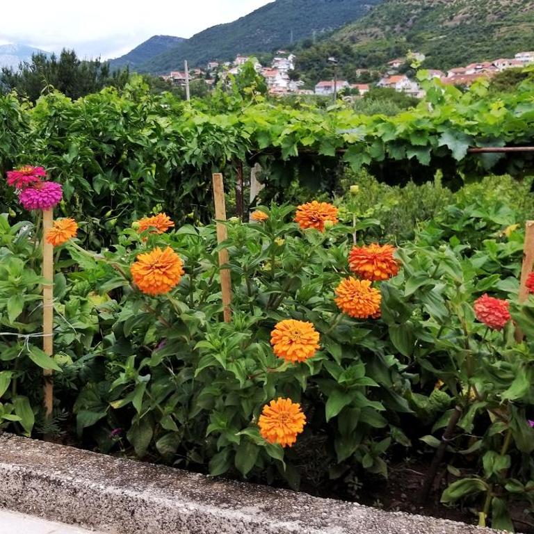 Petivat Gardens - Studio Apartman - 15