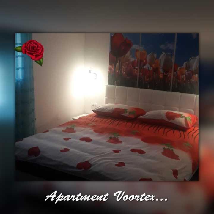 Apartment Voortex - Apartman sa 1 Spavaćom Sobom - 8