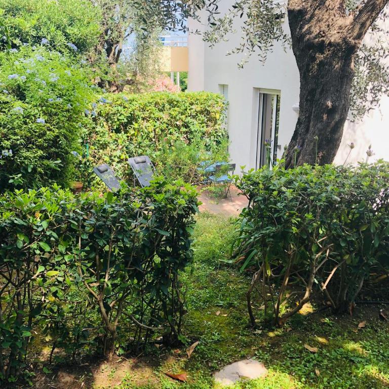 Studio plage parking et proche vieil antibes - Studio - 11