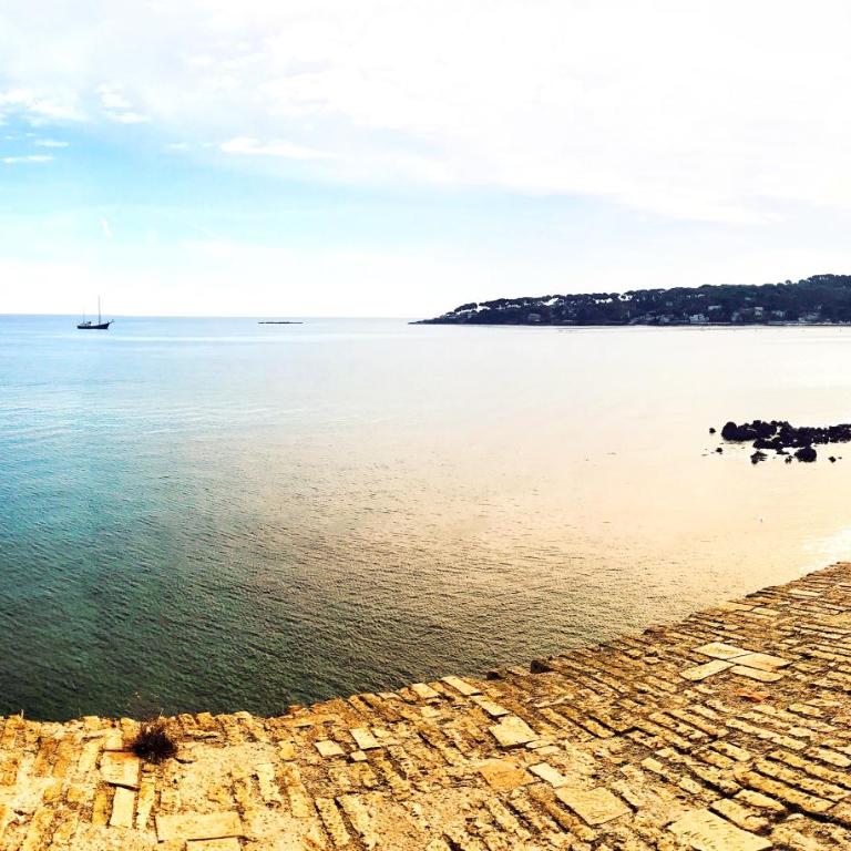 Studio plage parking et proche vieil antibes - Studio - 15