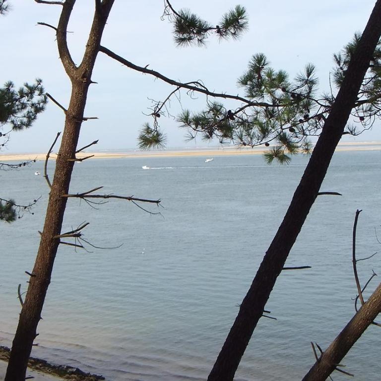 ARCACHON appartement T2 51M2 et parking privatif en sous sol - Appartamento con 1 Camera da Letto - 12
