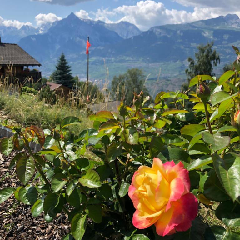 Panoramachalet - Apartment mit Blick auf die Berge - 23