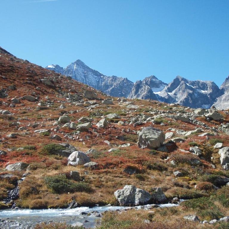 Les Montagnettes - Maison 6 Chambres - 1