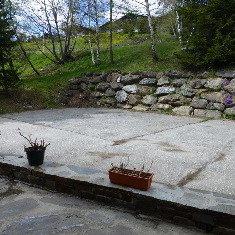 Les Saisies côté Bisanne appartement dans chalet LE Népal - Apartment mit 1 Schlafzimmer - 28