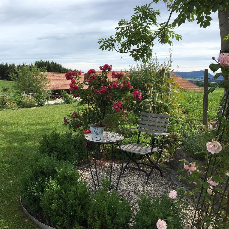 Ferienhof Am Holderbusch - Apartment mit 2 Schlafzimmern - 2