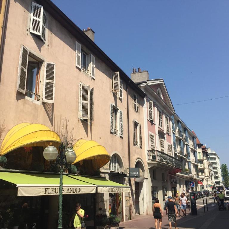 Charmant appartement, centre piéton Vieille Ville Annecy - Appartement avec Balcon - 44