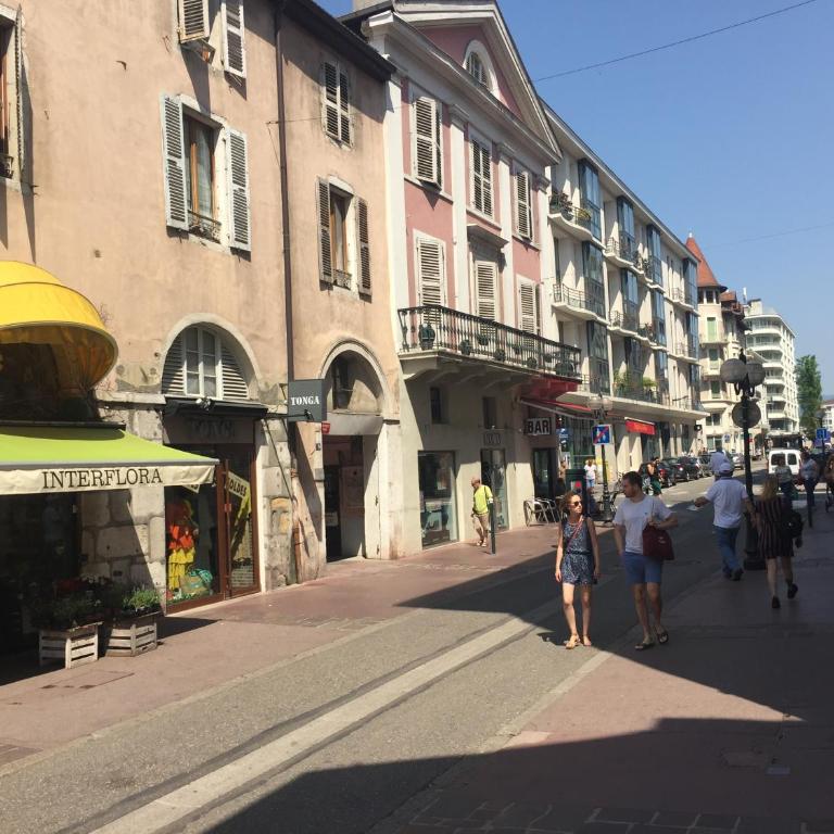 Charmant appartement, centre piéton Vieille Ville Annecy - Appartement avec Balcon - 48