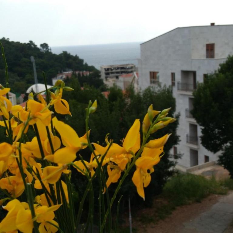 Apartmani Jovanovic - Apartman s 1 Spavaćom Sobom, Balkonom i Pogledom na More - 6