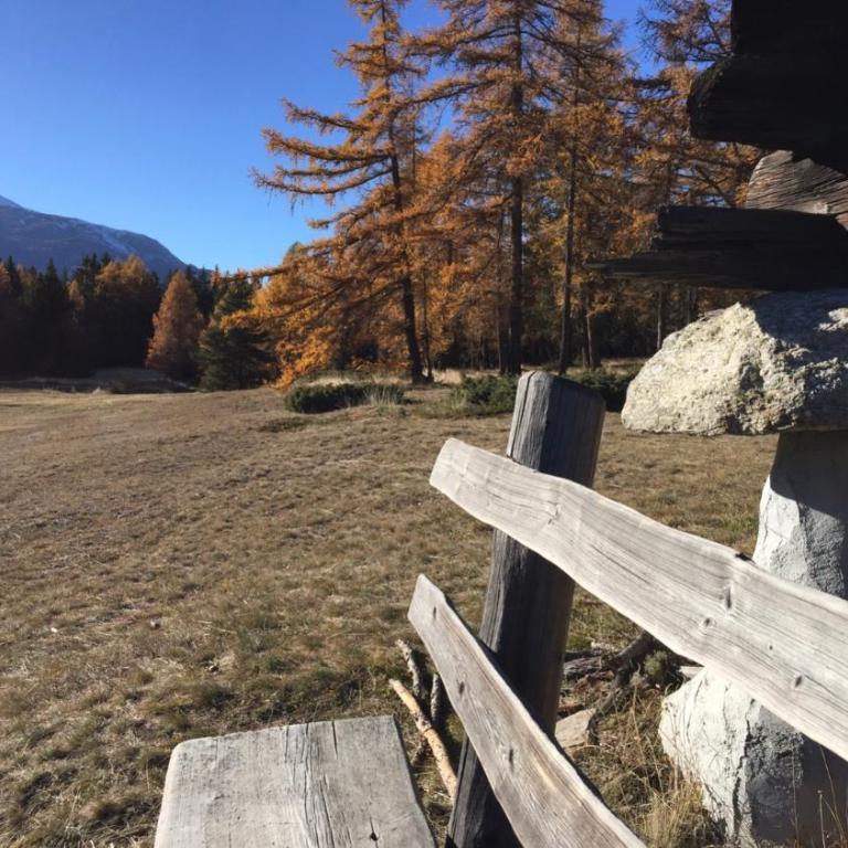 Ferienwohnung im Chalet Firn - OG - Apartment mit Blick auf die Berge - 3