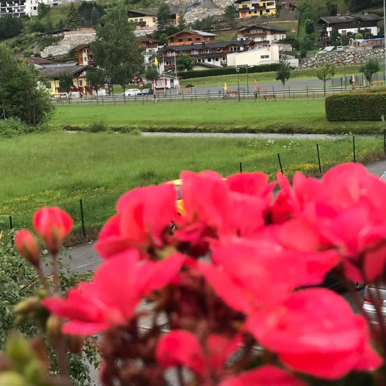 Art Apart Nomay Summercard Blick Top of Salzburg - Apartment mit 2 Schlafzimmern und Bergblick - 3