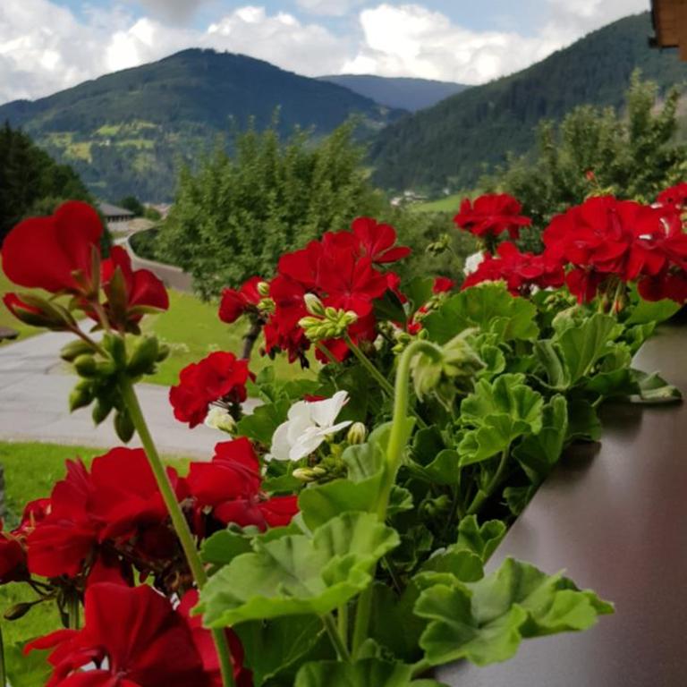 Appartement Bergpanorama - Appartamento con 2 Camere da Letto e Balcone (6 Adulti) - 21
