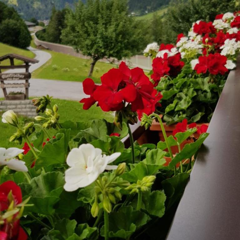 Appartement Bergpanorama - Appartamento con 2 Camere da Letto e Balcone (6 Adulti) - 19
