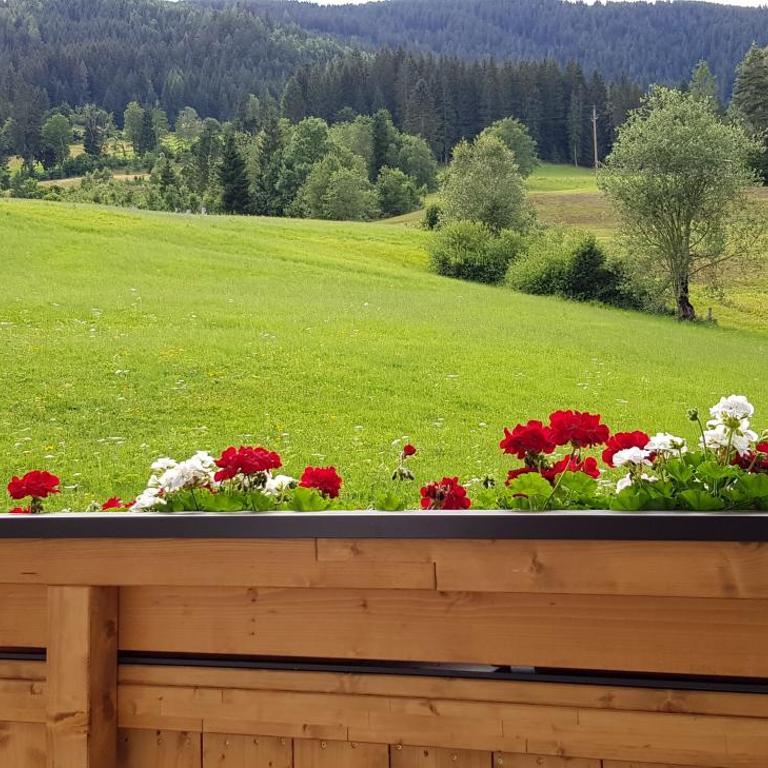 Appartement Bergpanorama - Appartamento con 2 Camere da Letto e Balcone (6 Adulti) - 18