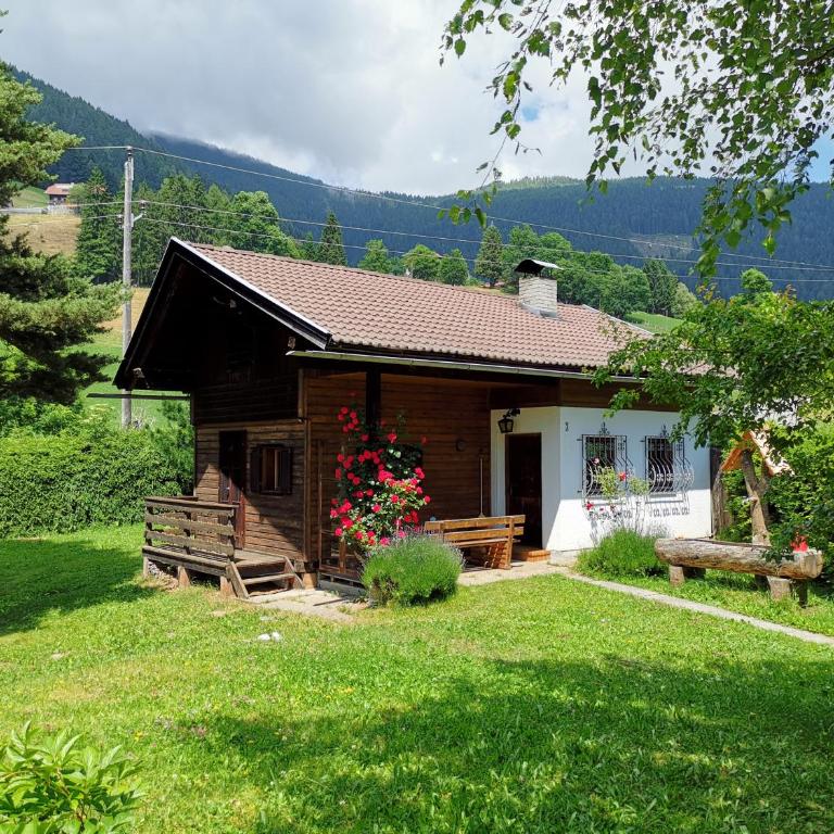 Waldheimat - Apartment mit 2 Schlafzimmern - 1