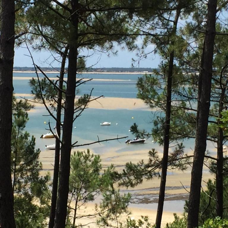 ARCACHON appartement T2 51M2 et parking privatif en sous sol - Appartamento con 1 Camera da Letto - 10