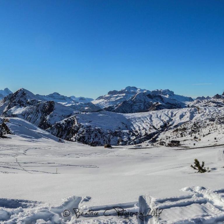 Dolomites Charme Chalet - Appartamento con 1 Camera da Letto - 26